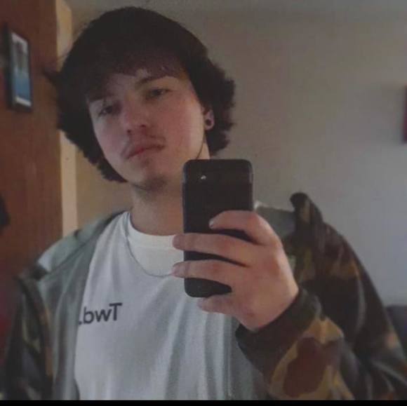 Meet your Posher, Devon - Picture 1 of 1